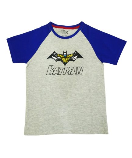 REGULAR FIT GREY - BLUE T SHIRT